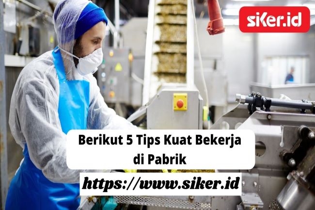 Bekerja di Pabrik Tips untuk Bertahan dan Sukses!